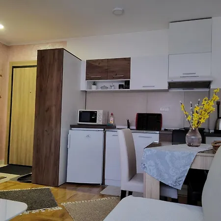 Stasenka Apartament *