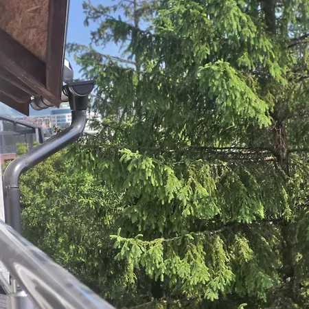 Stasenka Apartament Zlatibor